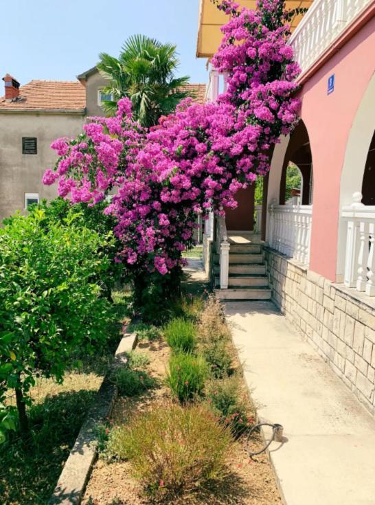 Peaceful, Cosy Tivat Guesthouse Exterior foto